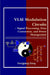 VLSI Modulation Circuits - Signal Processing, Data Conversion, and Power Management by Hongjiang Song