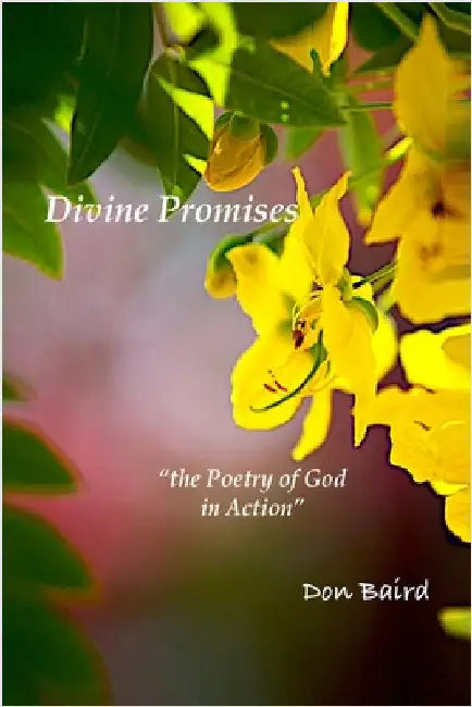 Divine Promises: the Poetry of God in Action by Baird, Don
