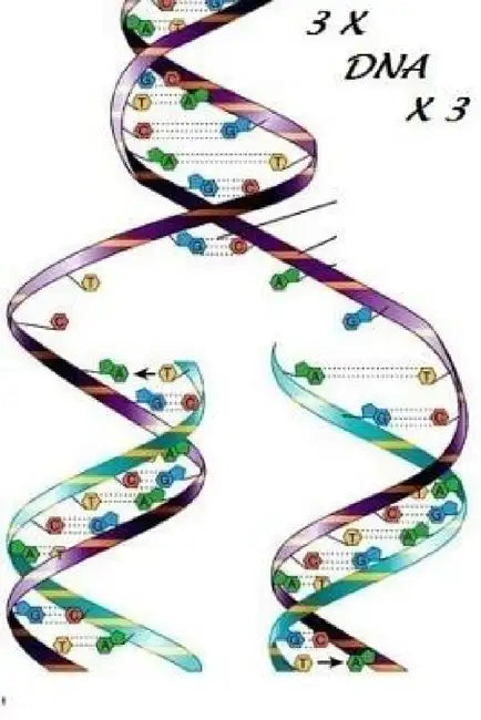3 X DNA X 3 by Janette Buchanan