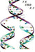 3 X DNA X 3 by Janette Buchanan