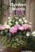 Spoken Words by Judy Cloinger