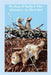 The Story of Stuffy & Other Adventures by Lord, Marti