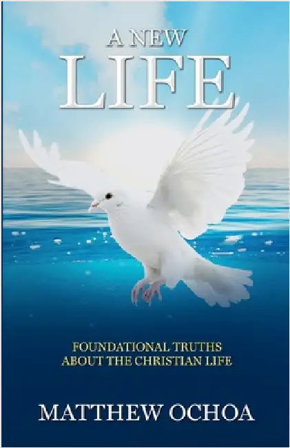 A New Life: Foundational Truths About the Christian Life by Ochoa, Matthew