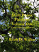 Daily Prayer Platform: Volume One (Large Print 2nd Edition) by Keith D. Walker
