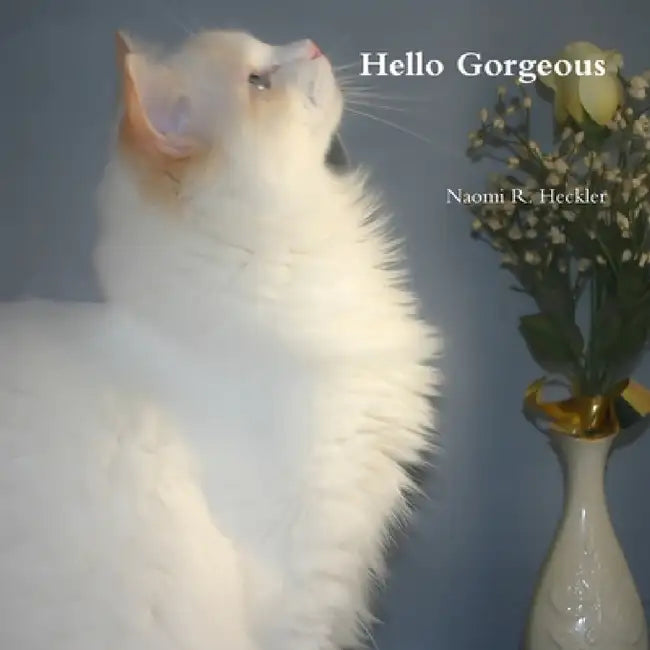 Hello Gorgeous by Naomi R. Heckler