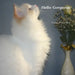 Hello Gorgeous by Naomi R. Heckler