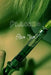 Placebo by Slim Jim