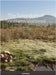 The Splendors of Southern Vermont: Vol. 01 by Healy, Dan