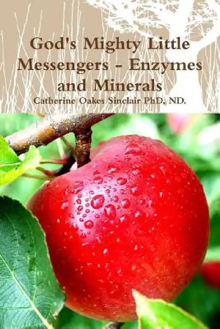 God's Mighty Little Messengers - Enzymes and Minerals by Nd Catherine Oakes Sinclair