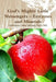 God's Mighty Little Messengers - Enzymes and Minerals by Nd Catherine Oakes Sinclair
