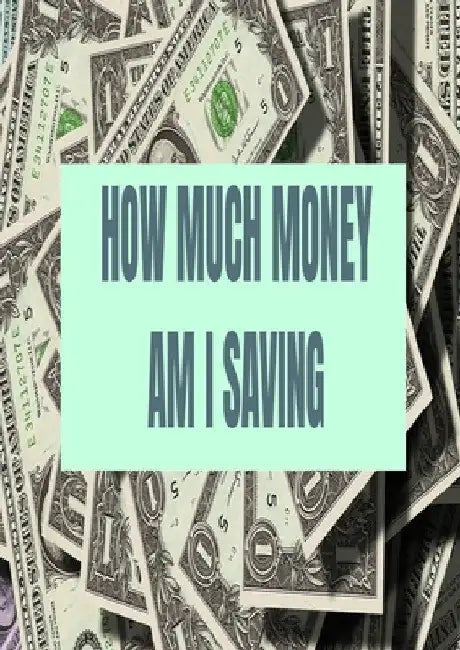 How Much Money Am I Saving: Finance by Andrew Horvitz