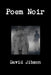 Poem Noir by David Jibson