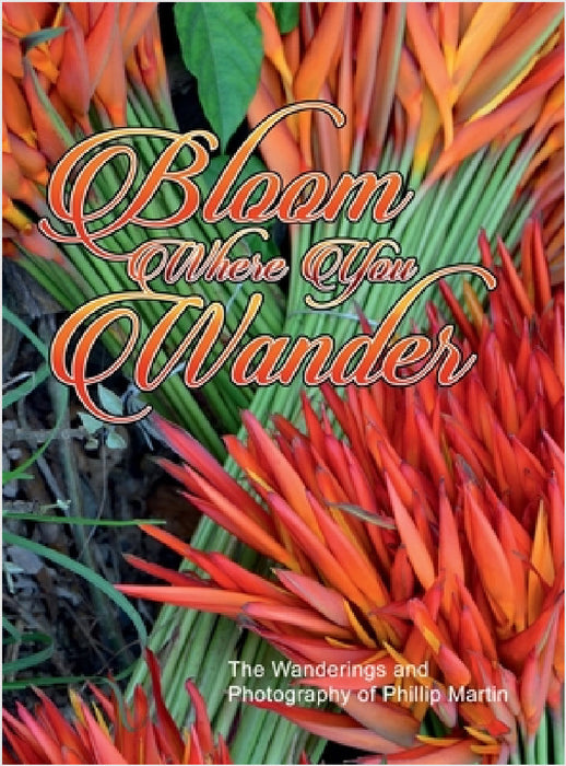 Bloom Where You Wander (glossy cover): The Wanderings and Photography of Phillip Martin by Phillip Martin, Phillip Martin