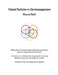 Virtual Particles in Electromagnetism by Marcus Reid
