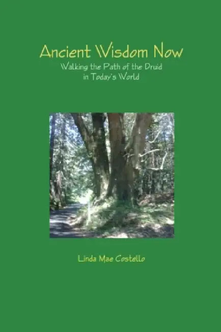 Ancient Wisdom Now by Linda Mae Costello