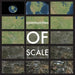 Communities of Scale by Neena Wang