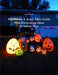 Halloween A Scary Film Guide by Terry Rowan