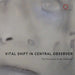 Vital Shift in Central Observer by Bosi Contemporary