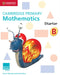 Cambridge Primary Mathematics Starter Activity Book B by Cherri Moseley, Janet Rees