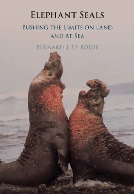 Elephant Seals by Bernard J. Le Boeuf