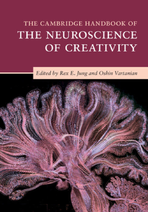 The Cambridge Handbook of the Neuroscience of Creativity by Rex E. Jung, Oshin Vartanian