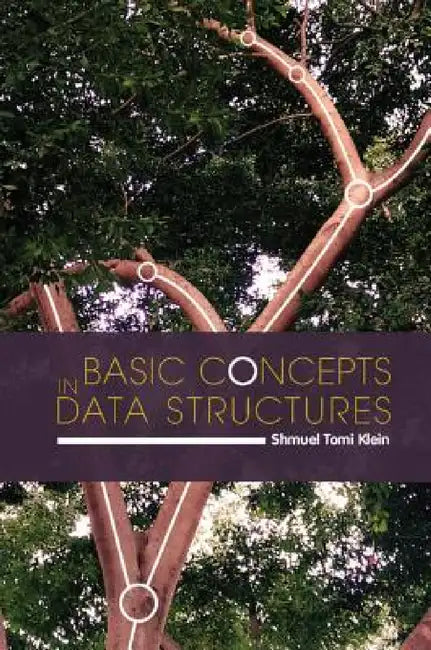 Basic Concepts in Data Structures by Shmuel Tomi Klein