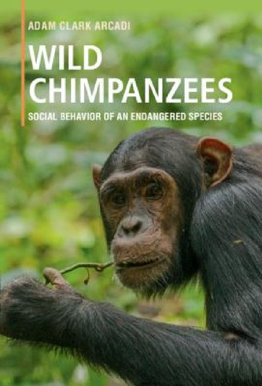 Wild Chimpanzees by Adam Clark Arcadi