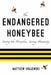 The Endangered Honeybee: Saving the Honeybee, Saving Humanity by Matthew Krajewski