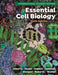 Essential Cell Biology by Bruce (University of California, San Francisco) Alberts