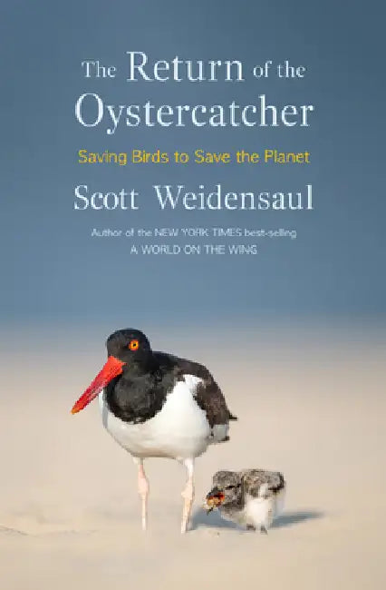 The Return of the Oystercatcher: Saving Birds to Save the Planet by Scott Weidensaul
