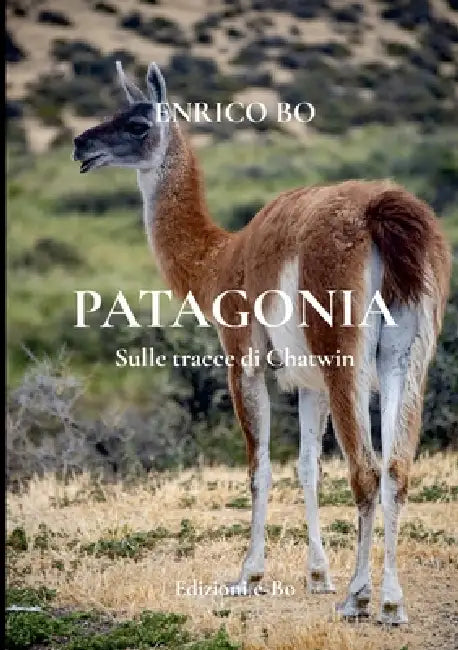 PATAGONIA - Sulle tracce di Chatwin: Sulle tracce di Chatwin by Enrico Bo