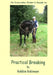 An Everyday Rider's Guide to Practical Breaking by Robbie Robinson