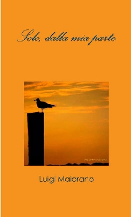 Solo, dalla mia parte by Luigi Maiorano