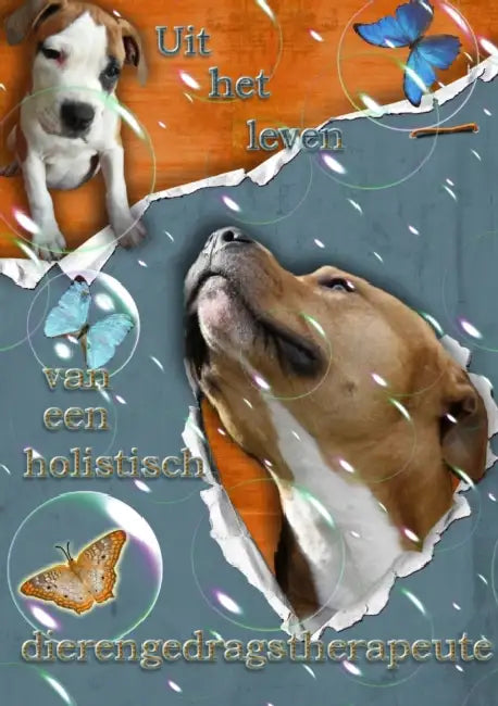 Uit het leven van een holistisch dierengedragstherapeute by Inge Pauwels