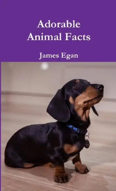 Adorable Animal Facts by James Egan