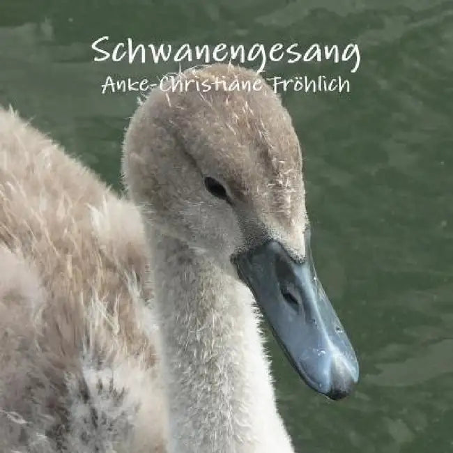 Schwanengesang by Anke-Christiane Fröhlich