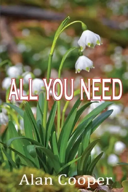 All You Need by Alan Cooper