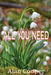 All You Need by Alan Cooper