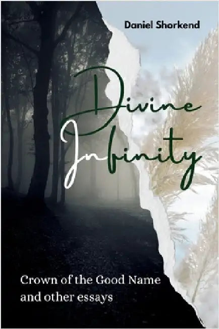 Divine Infinity: Crown of the Good Name and other essays by Shorkend, Daniel