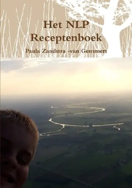 Het NLP Receptenboek by P. F. Zandstra -Van Gemmert