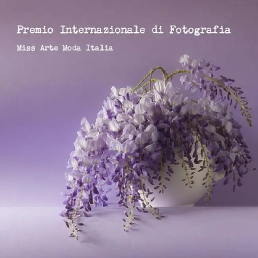 Premio Internazionale di Fotografia Miss Arte Moda Italia 2016 by Miss Arte Moda Italia