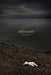 Another Shore by Tim Jeffreys