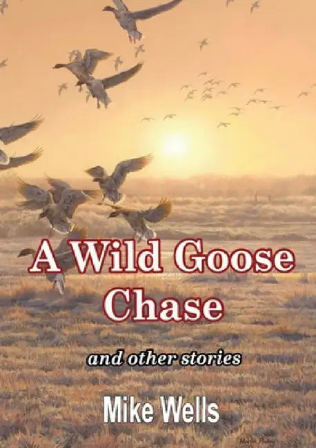 A Wild Goose Chase: and other stories by Mike Wells