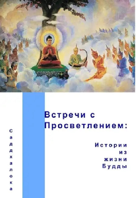 Встречи с Просветлением: by Саддхk
