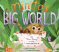 Ninita's Big World: The True Story of a Deaf Pygmy Marmoset by Sarah Glenn Marsh