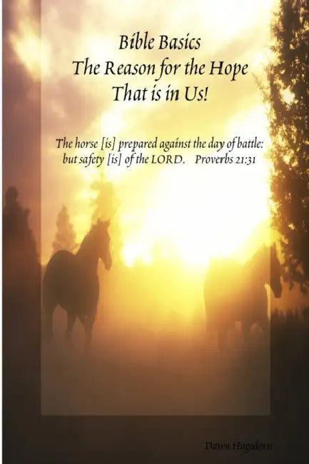 Bible Basics - The Reason for the Hope That is in Us! by Dawn Hagedorn