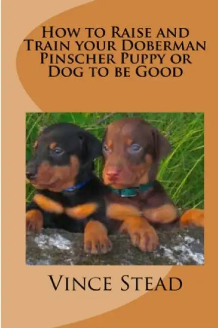 How to Raise and Train Your Doberman Pincher Puppy or Dog to Be Good by Stead, Vince