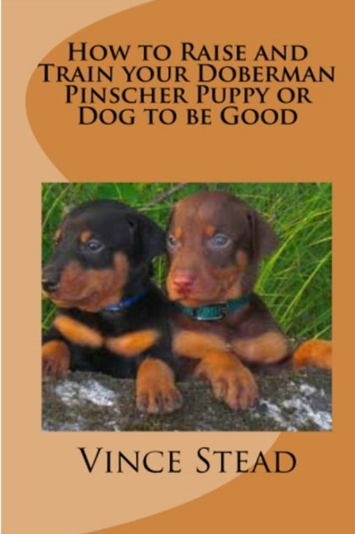 How to Raise and Train Your Doberman Pincher Puppy or Dog to Be Good by Stead, Vince
