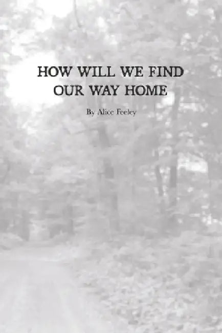 How Will We Find Our Way Home by Alice Feeley