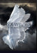 Six Wings by Kylie Malchus